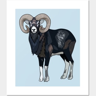 Mouflon sheep cartoon illustration Posters and Art